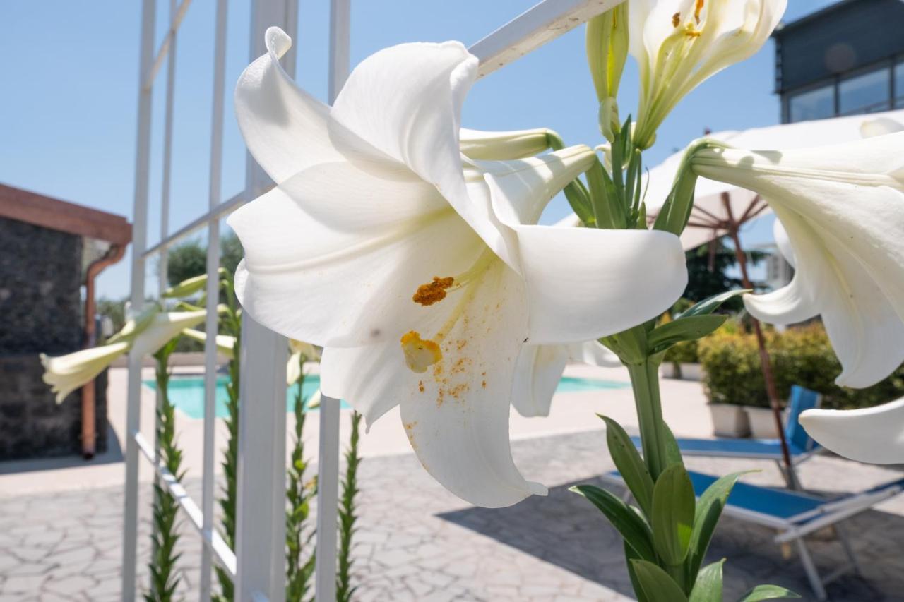 Lux Suite Sicily マスカルチーア エクステリア 写真